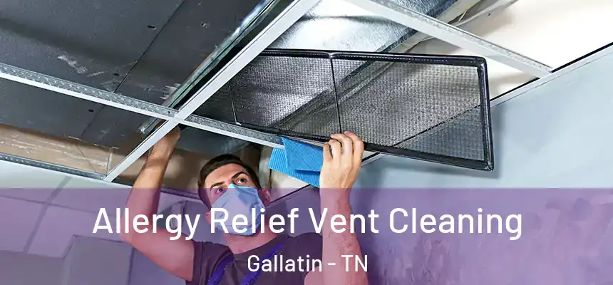  Allergy Relief Vent Cleaning Gallatin - TN