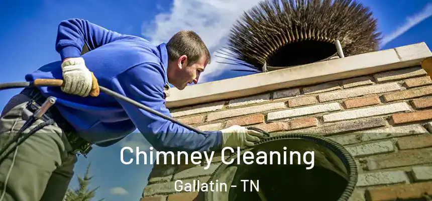  Chimney Cleaning Gallatin - TN
