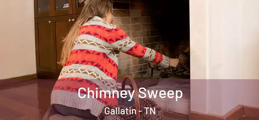 Chimney Sweep Gallatin - TN