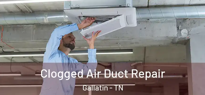  Clogged Air Duct Repair Gallatin - TN