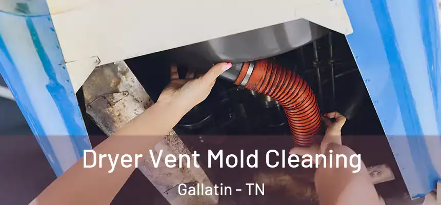  Dryer Vent Mold Cleaning Gallatin - TN