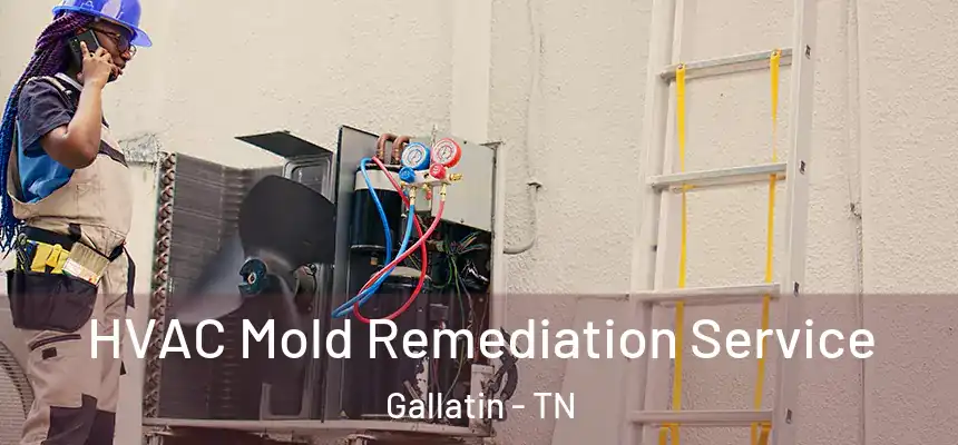  HVAC Mold Remediation Service Gallatin - TN
