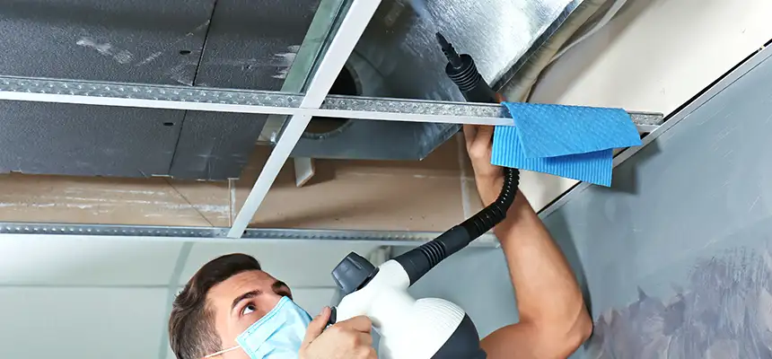 Our Air Duct Rodent Removal Services in Gallatin, TN