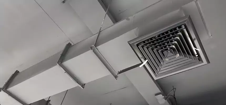 Our Rodent Droppings In Vents Services in Gallatin, TN