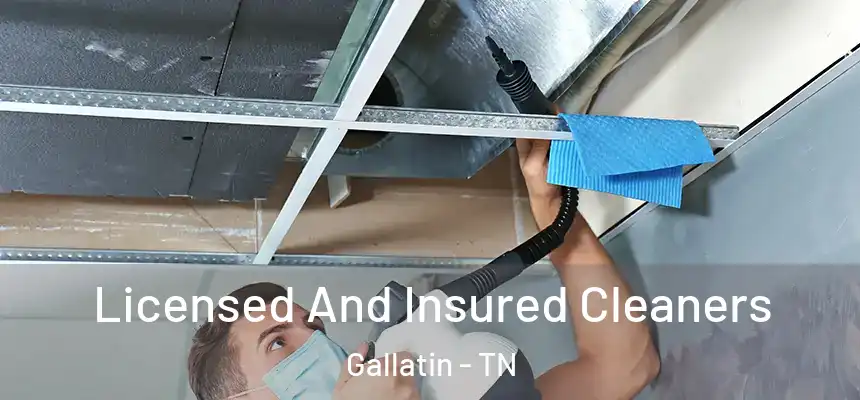 Licensed And Insured Cleaners Gallatin - TN