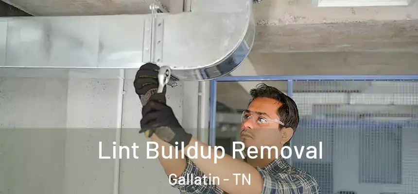  Lint Buildup Removal Gallatin - TN