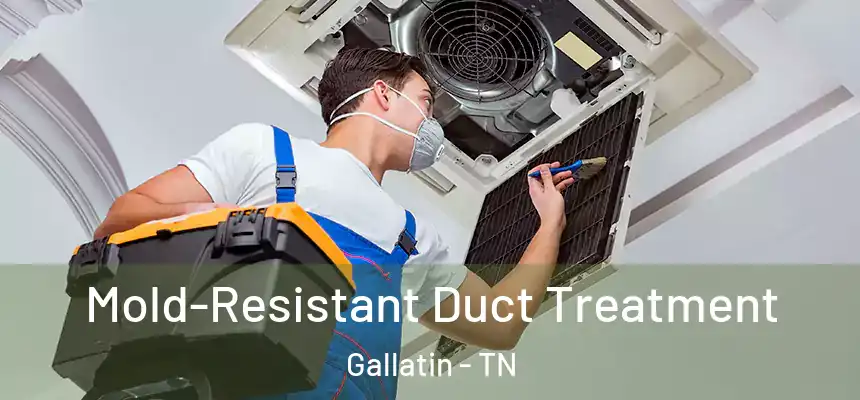  Mold-Resistant Duct Treatment Gallatin - TN