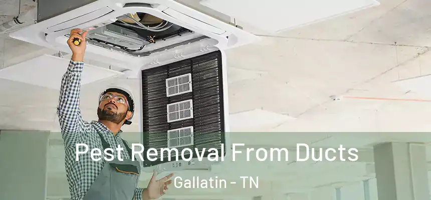 Pest Removal From Ducts Gallatin - TN
