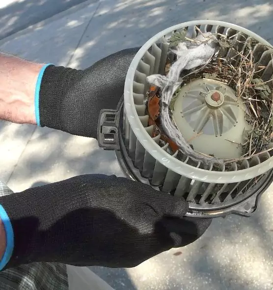 About Air Duct Mice Removal in Gallatin, TN