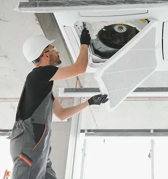 About Air Duct Rodent Removal in Gallatin, TN