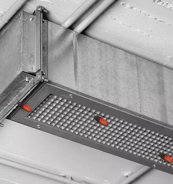 Affordable Insect Removal from Air Ducts in Gallatin, TN