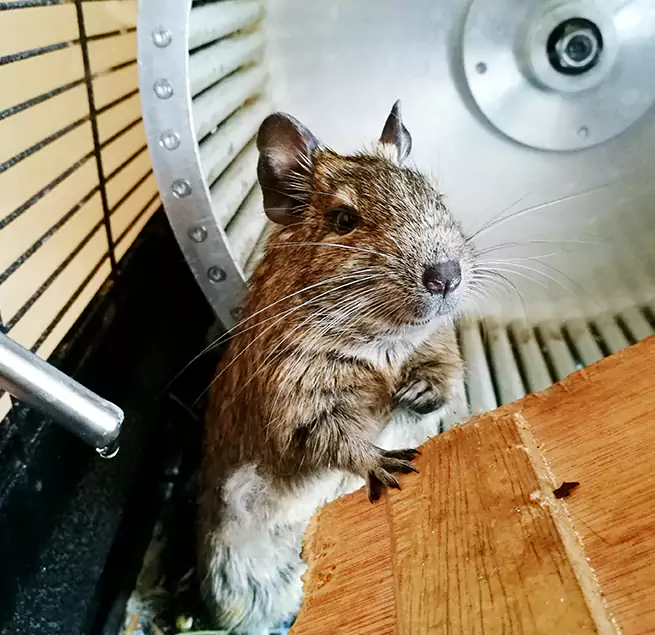 Why Homeowners & Businesses Trust Us Gallatin, TN