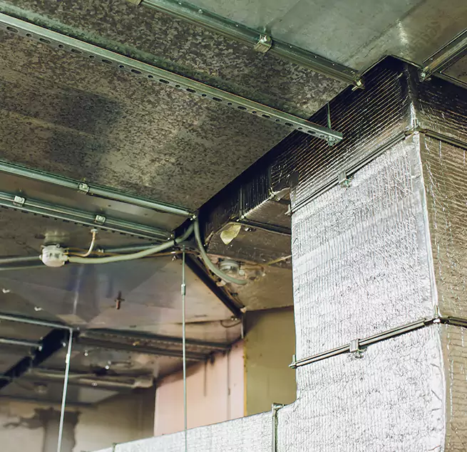 Why Homeowners & Businesses Trust Us in Gallatin, TN?